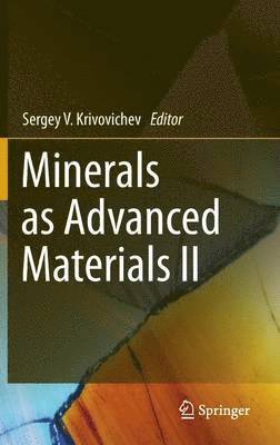 bokomslag Minerals as Advanced Materials II