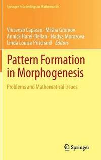 bokomslag Pattern Formation in Morphogenesis