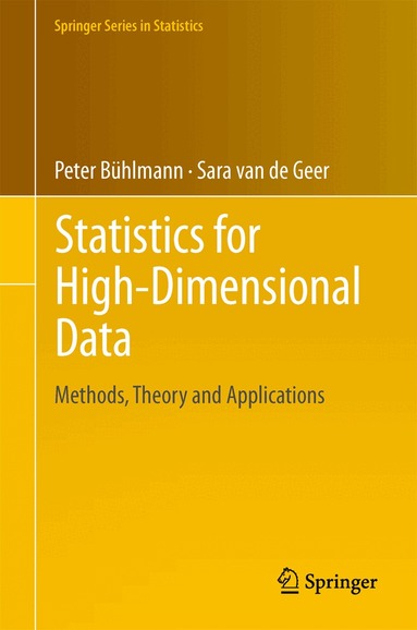 Peter Bühlmann, Sara van de Geer - Statistics for High-Dimensional Data, Inbunden