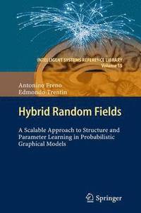 bokomslag Hybrid Random Fields