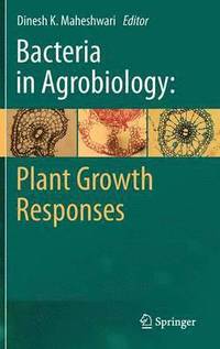 bokomslag Bacteria in Agrobiology: Plant Growth Responses