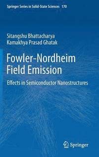 bokomslag Fowler-Nordheim Field Emission