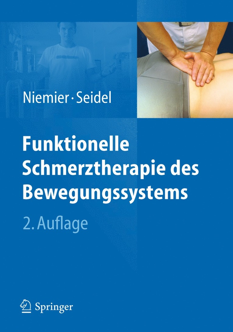 Kay Niemier, Wolfram Seidel - Funktionelle Schmerztherapie des Bewegungssystems, Häftad