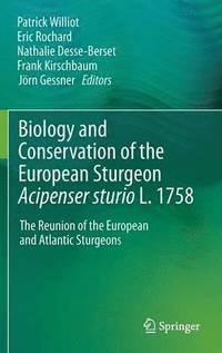 bokomslag Biology and Conservation of the European Sturgeon Acipenser sturio L. 1758