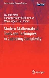 bokomslag Modern Mathematical Tools and Techniques in Capturing Complexity