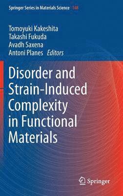 bokomslag Disorder and Strain-Induced Complexity in Functional Materials
