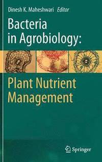 bokomslag Bacteria in Agrobiology: Plant Nutrient Management