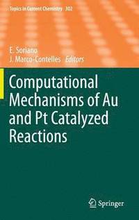 bokomslag Computational Mechanisms of Au and Pt Catalyzed Reactions
