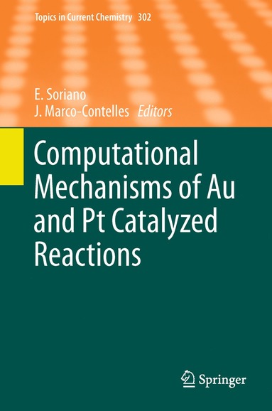 bokomslag Computational Mechanisms of Au and Pt Catalyzed Reactions