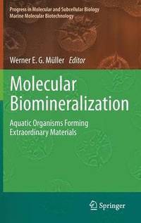 bokomslag Molecular Biomineralization