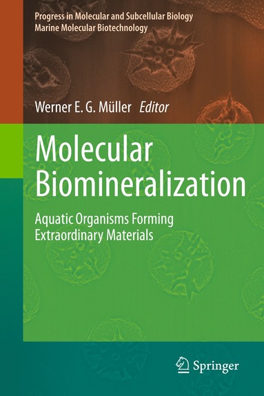 bokomslag Molecular Biomineralization