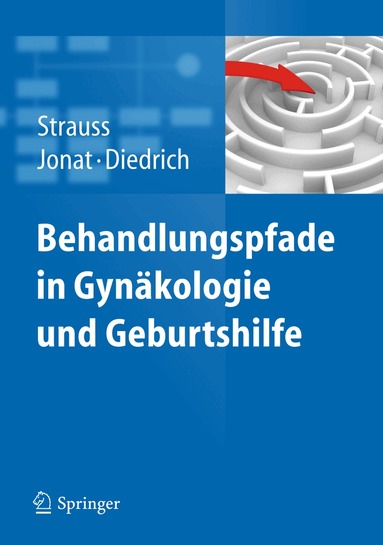 Alexander Strauss, Walter Jonat, Klaus Diedrich - Behandlungspfade in Gynäkologie und Geburtshilfe, Häftad