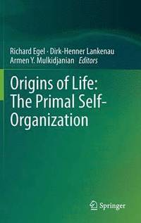 bokomslag Origins of Life: The Primal Self-Organization
