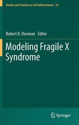 Modeling Fragile X Syndrome 1