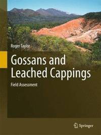 bokomslag Gossans and Leached Cappings