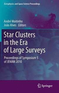 bokomslag Star Clusters in the Era of Large Surveys