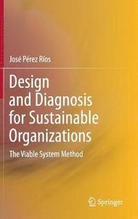 bokomslag Design and Diagnosis for Sustainable Organizations