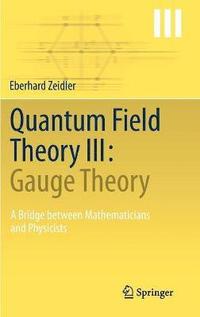bokomslag Quantum Field Theory III: Gauge Theory