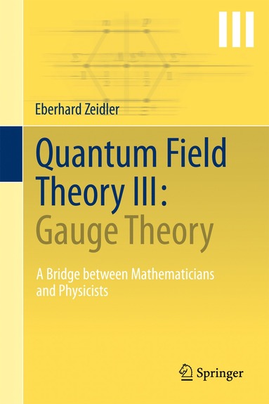 bokomslag Quantum Field Theory III: Gauge Theory