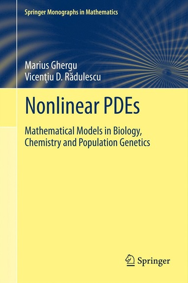 bokomslag Nonlinear PDEs