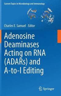 bokomslag Adenosine Deaminases Acting on RNA (ADARs) and A-to-I Editing