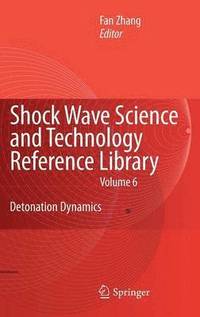 bokomslag Shock Waves Science and Technology Library, Vol. 6