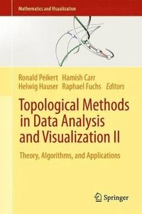 bokomslag Topological Methods in Data Analysis and Visualization II