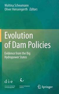 bokomslag Evolution of Dam Policies