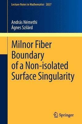 bokomslag Milnor Fiber Boundary of a Non-isolated Surface Singularity