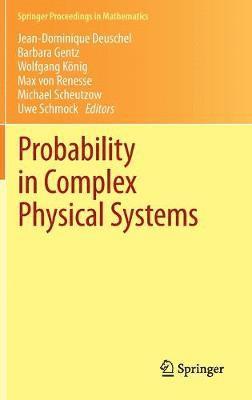 bokomslag Probability in Complex Physical Systems