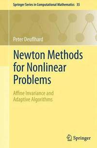 bokomslag Newton Methods for Nonlinear Problems