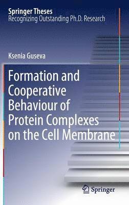 Formation and Cooperative Behaviour of Protein Complexes on the Cell Membrane 1