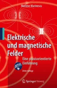 bokomslag Elektrische und magnetische Felder