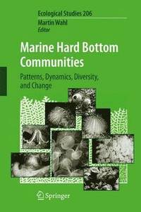 bokomslag Marine Hard Bottom Communities
