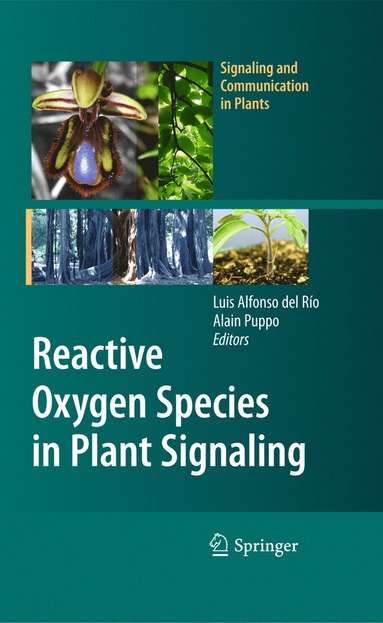 bokomslag Reactive Oxygen Species in Plant Signaling