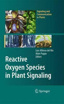 Luis A. del Río, Alain Puppo, Luis Alfonso Del Rio - Reactive Oxygen Species in Plant Signaling, Häftad
