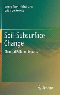 bokomslag Soil-Subsurface Change