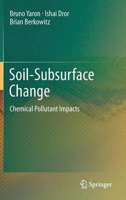 bokomslag Soil-Subsurface Change