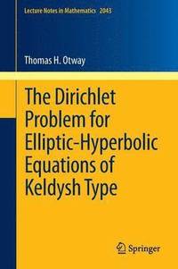 bokomslag The Dirichlet Problem for Elliptic-Hyperbolic Equations of Keldysh Type