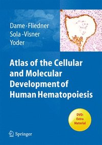 bokomslag Atlas of the Cellular and Molecular Development of Human Hematopoiesis