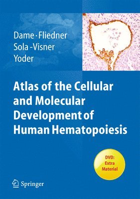bokomslag Atlas of the Cellular and Molecular Development of Human Hematopoiesis