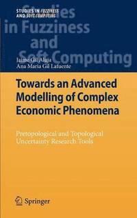 bokomslag Towards an Advanced Modelling of Complex Economic Phenomena
