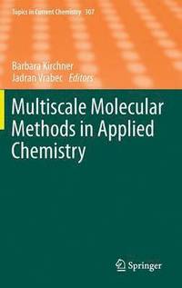 bokomslag Multiscale Molecular Methods in Applied Chemistry
