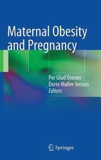 bokomslag Maternal Obesity and Pregnancy