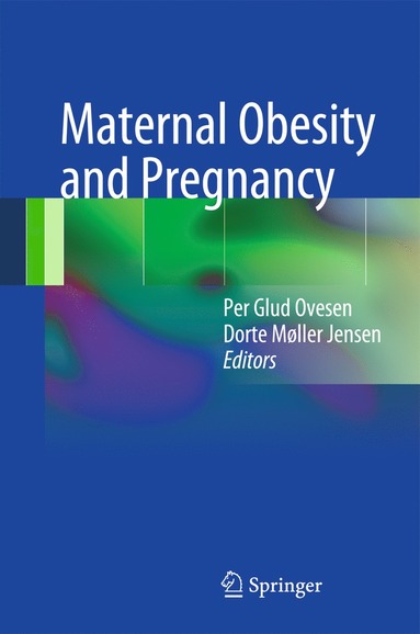 bokomslag Maternal Obesity and Pregnancy