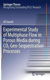 bokomslag Experimental Study of Multiphase Flow in Porous Media during CO2 Geo-Sequestration Processes