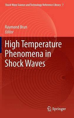 bokomslag High Temperature Phenomena in Shock Waves