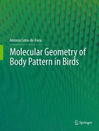 bokomslag Molecular Geometry of Body Pattern in Birds