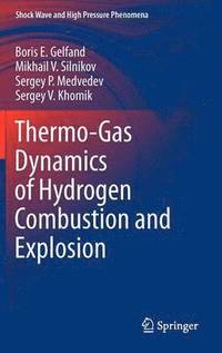 bokomslag Thermo-Gas Dynamics of Hydrogen Combustion and Explosion