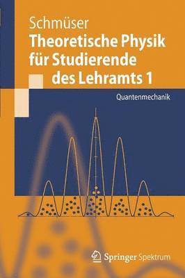Peter Schmüser - Theoretische Physik für Studierende des Lehramts 1, Häftad